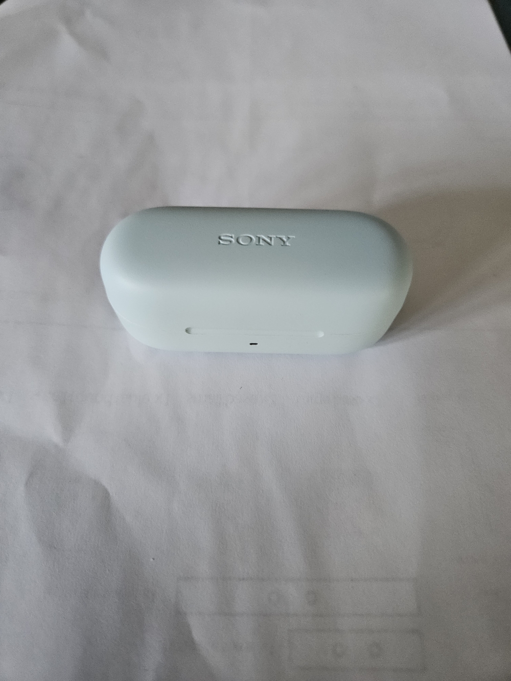 Sony - WFC510 Truly Wireless Earbuds - Blue (Tested)